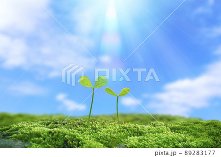 青空と虹に二葉 89283177