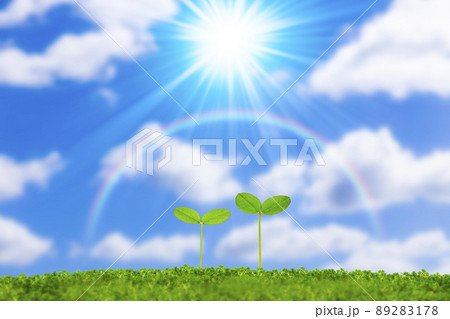 青空と虹に二葉 89283178