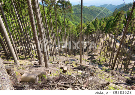 標高800m付近から国道477号急カーブを見下ろす向こうに京都市街地が見える 標高800m付近から国道477号急カーブを見下ろす向こうに京都市街地が見える 89283628
