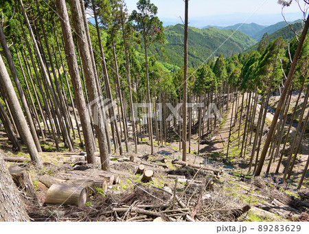 標高800m付近から国道477号急カーブを見下ろす向こうに京都市街地が見える 標高800m付近から国道477号急カーブを見下ろす向こうに京都市街地が見える 89283629