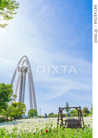 138タワーパーク、満開のネモフィラ〈愛知県一宮市〉 89284186