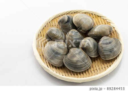 ざるに乗せたホンビノス貝 89284453