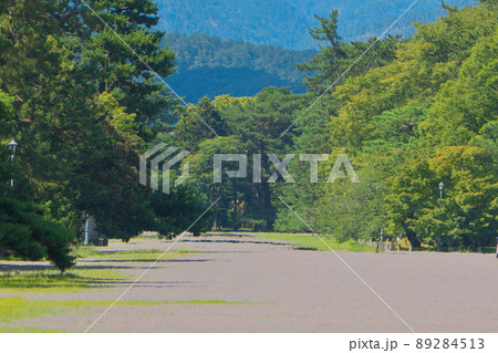 陽炎と逃げ水は真夏の京都御苑の名物なのかもしれない 89284513