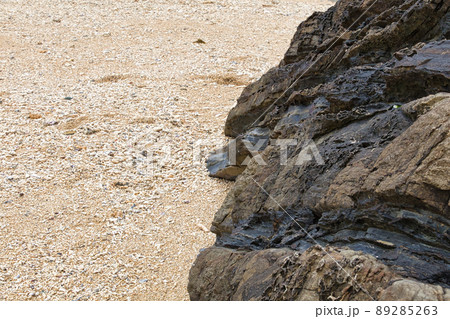 砂岩泥岩の地層 砂岩泥岩の地層 89285263