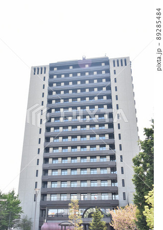 栃木県宇都宮市 宇都宮市役所 栃木県宇都宮市 宇都宮市役所 89285484
