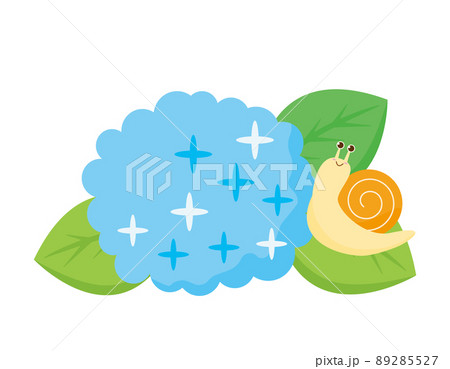 かたつむりと紫陽花　でんでん虫　イラスト 89285527