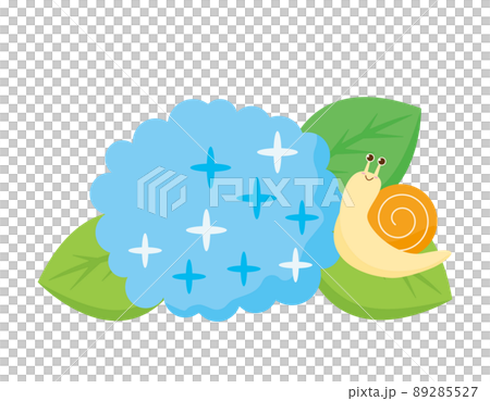 かたつむりと紫陽花　でんでん虫　イラスト 89285527