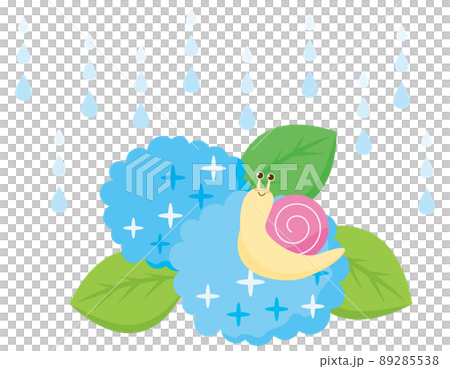 かたつむりと紫陽花 でんでん虫 イラスト かたつむりと紫陽花 でんでん虫 イラスト 89285538