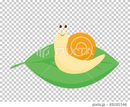 Snail Dendenmushi Illustration 89285546
