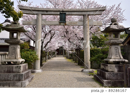 市座神社一の鳥居 市座神社一の鳥居 89286167
