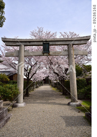 市座神社一の鳥居 市座神社一の鳥居 89286168