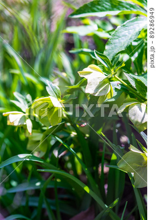 Spring floral concept 89286949