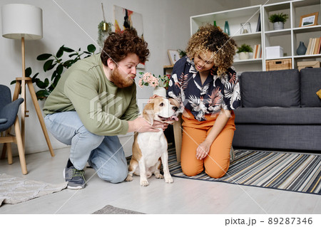 Multiethnic young couple training their purebred dog while sitting on floor in living room Multiethnic young couple training their purebred dog while sitting on floor in living room 89287346