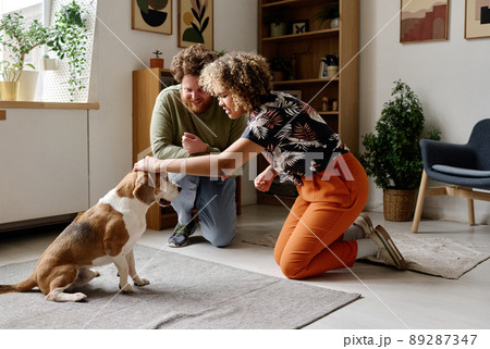 African young woman training her dog and saying it to sit with man watching for process in living room 89287347