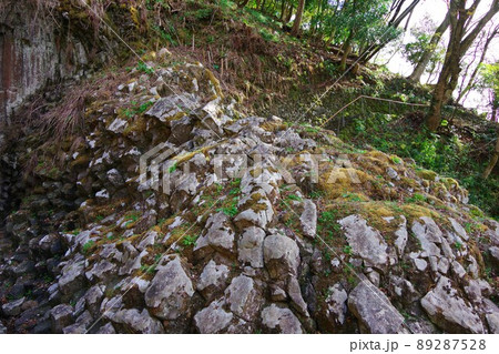 兵庫県豊岡市　玄武洞公園　南朱雀洞 89287528