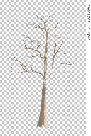 背景のパーツ 木の幹 冬の木立のイラスト素材 2663