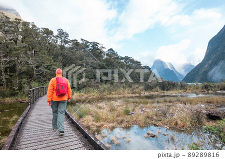 Milford sound Milford sound 89289816