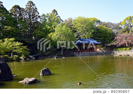 堺市　大仙公園　日本庭園 89290807