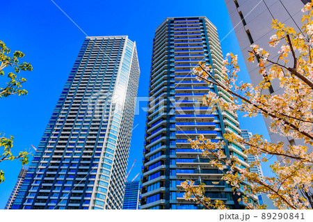 東京　中央区晴海の都市風景　晴海埠頭のタワーマンション 89290841