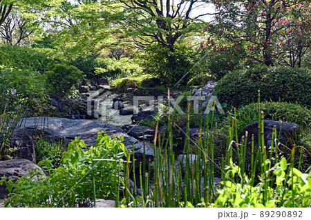 堺市 大仙公園 日本庭園 堺市 大仙公園 日本庭園 89290892