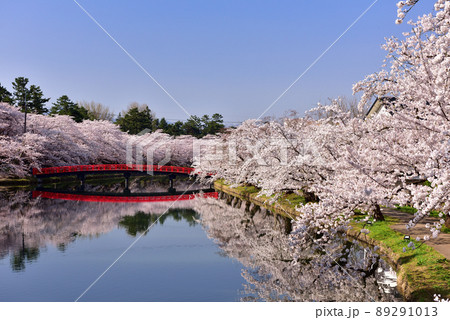 弘前公園の桜 弘前公園の桜 89291013