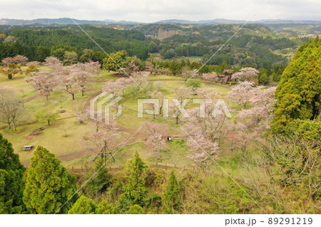 都城市の母智丘公園付近の空撮 89291219