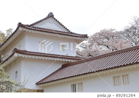 満開の桜が咲く中、鶴ヶ城の天主閣が美しく浮かび上がります 89291264