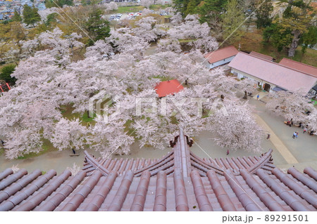 鶴ヶ城の天主閣、最上階から満開の桜が展望できます 鶴ヶ城の天主閣、最上階から満開の桜が展望できます 89291501