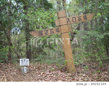 東那須野公園 4月 稲荷山 東那須野公園 4月 稲荷山 89292104