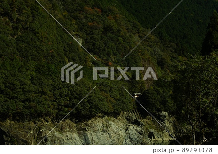 秋の高山本線 上麻生~白川口を走るキハ85系特急ワイドビューひだ 秋の高山本線 上麻生~白川口を走るキハ85系特急ワイドビューひだ 89293078