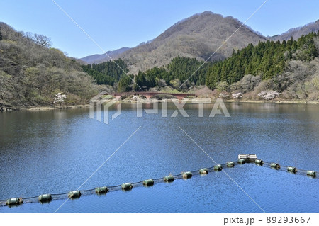 群馬県安中市の碓氷湖 89293667