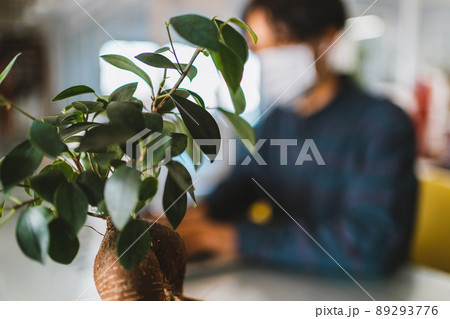 オフィスのミニ観葉植物 89293776