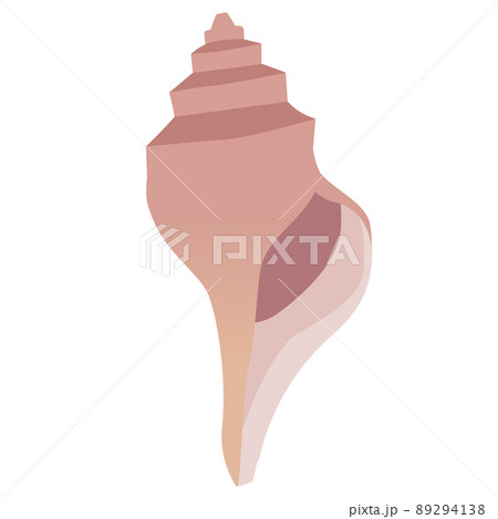 ブラウンの巻貝のイラスト素材