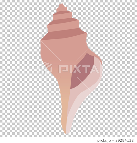 ブラウンの巻貝 ブラウンの巻貝 89294138