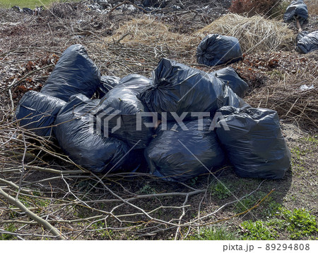 Spring cleaning of territories from branches and dry foliage. 89294808