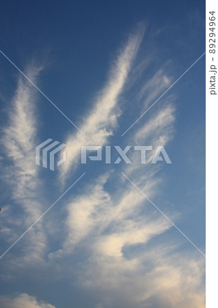 つばさ雲 89294964