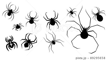 Set of spiders element for the holiday Halloween - Vector Set of spiders element for the holiday Halloween - Vector 89295658