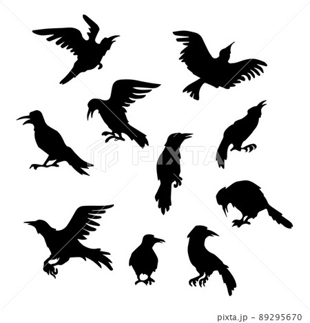 Black silhouettes of 10 different ravens on a white background - Vector Black silhouettes of 10 different ravens on a white background - Vector 89295670
