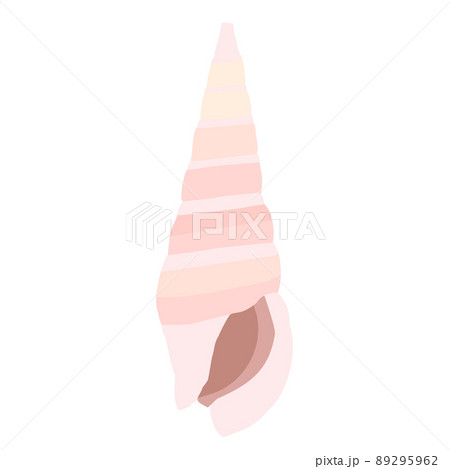 ピンクの巻貝 89295962
