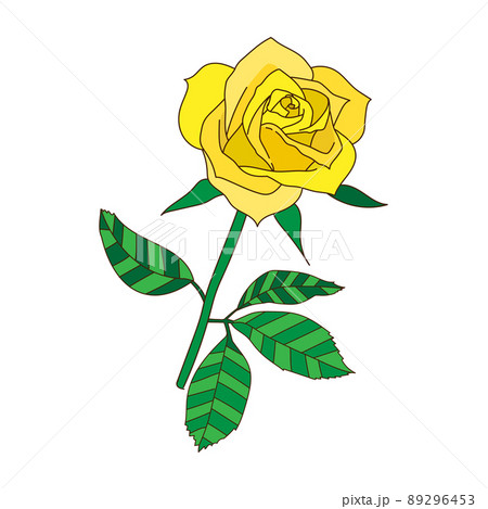 1輪の黄色いバラ（手描き） 89296453