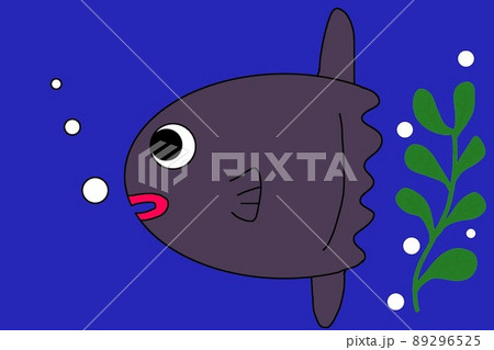 マンボウ 89296525