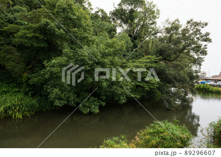 墓山古墳 89296607