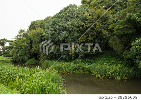 墓山古墳 89296608