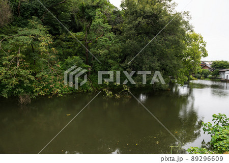 墓山古墳 89296609