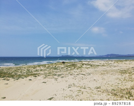 海 89297818