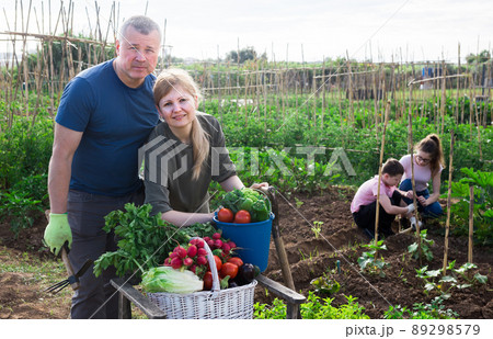 Couple posing in garden with harvested vegetables 89298579