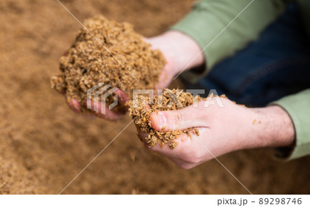 Closeup of beer bagasse in female hands 89298746