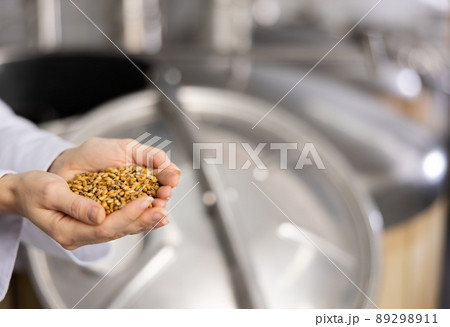 Hands of brewmaster holding bunch of malt seeds Hands of brewmaster holding bunch of malt seeds 89298911