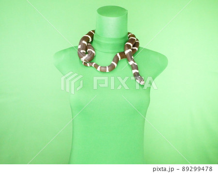 首に白黒の蛇を巻いたマネキン 89299478