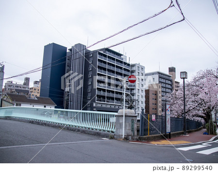 大岡川の桜風景 大岡川の桜風景 89299540